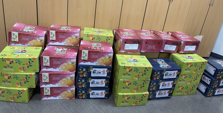 한솔동에 고향 사랑 담긴 제주도 귤이...