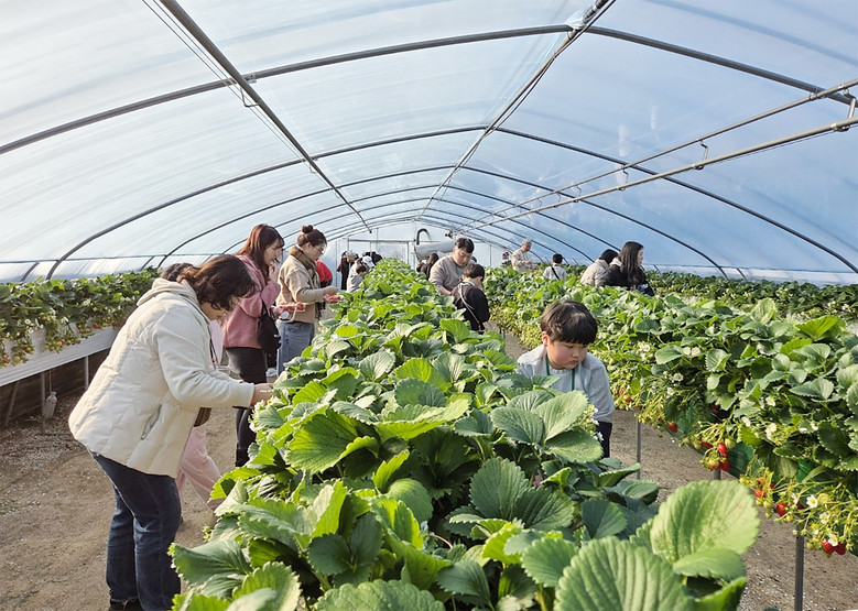 대전 대덕구 드림스타트, 겨울방학 맞...